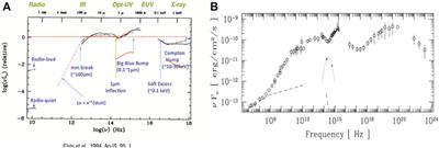 Active galactic nuclei: global perspective and time-domain implications